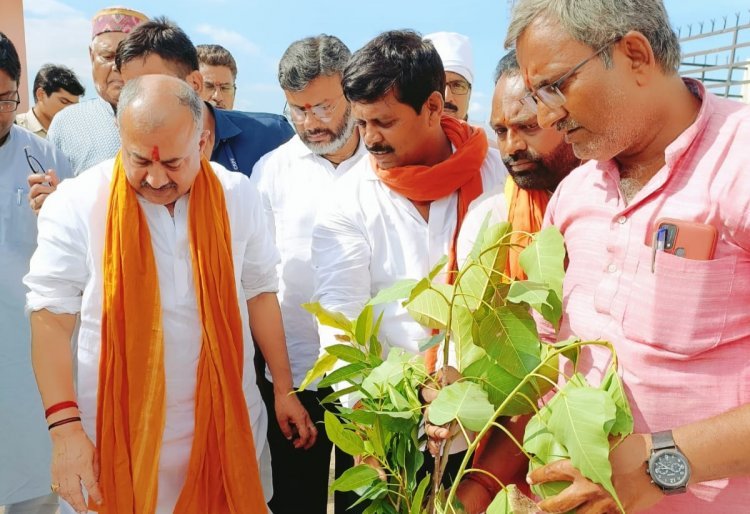 औरंगाबाद में भाजपा नगर द्वारा डॉक्टर श्यामा प्रसाद मुखर्जी जयंती के उपलक्ष्य में वृक्षारोपण अभियान कार्यक्रम का किया गया आयोजन       