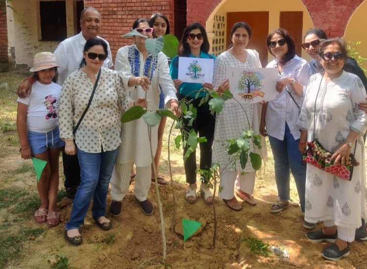 Disha foundation celebrated its silver jubilee by planting trees