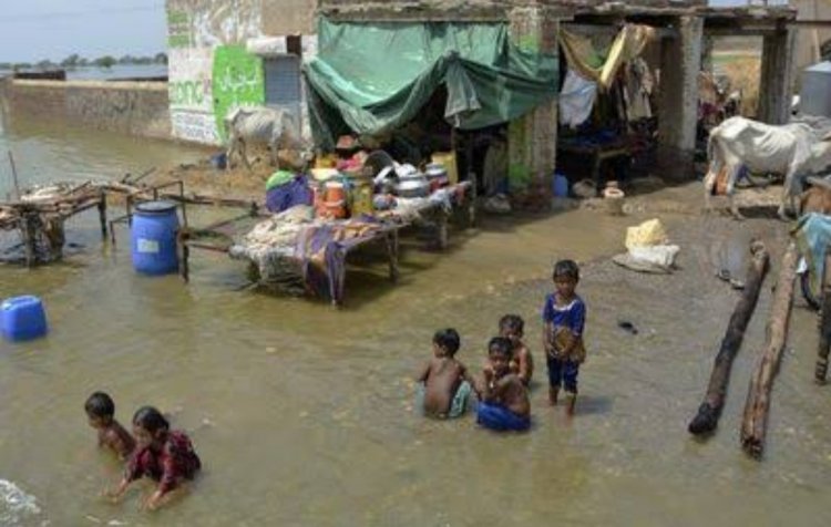 लगभग 1136 हो गई है पाकिस्तान में बाढ़ से मौतें