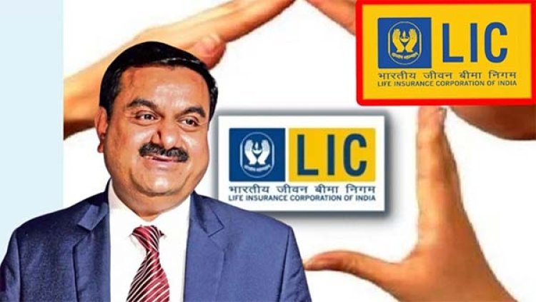 Adani Share Price: LIC को हुआ सबसे ज्यादा नुकसान!