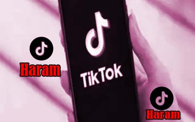 Is TikTok illegal and haram in Pak Fatwa