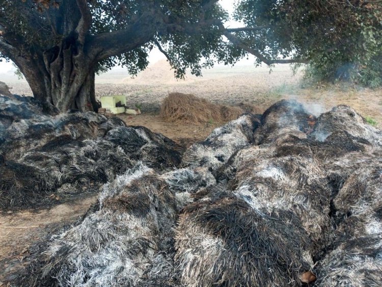 लटा गांव में धान फसल का बोझा जलकर हुआ राख