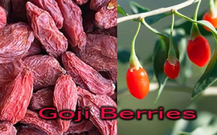 Goji berries for diabetics